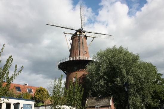 Korenmolen Rijn en Zon
